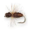 cinammon fur ant